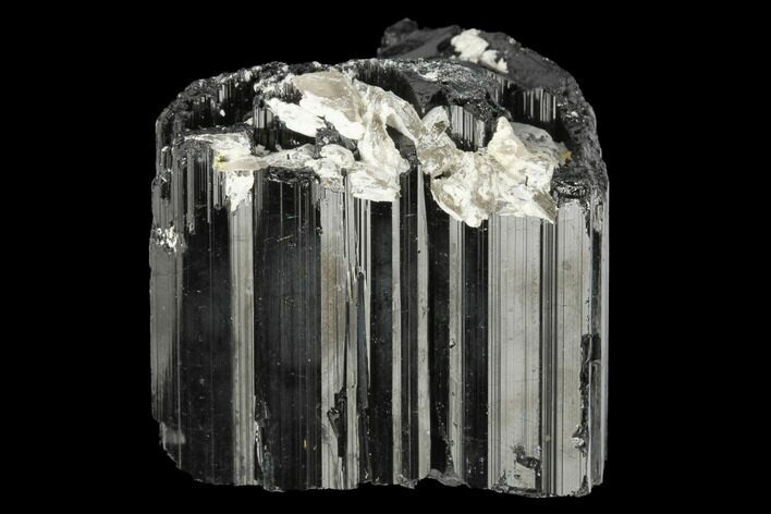 Black Tourmaline (Schorl) Crystal - Madagascar #174126